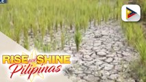 El Niño, maaaring maranasan ng bansa sa Hulyo-Setyembre at maaaring tumagal hanggang 2024, ayon sa PAGASA