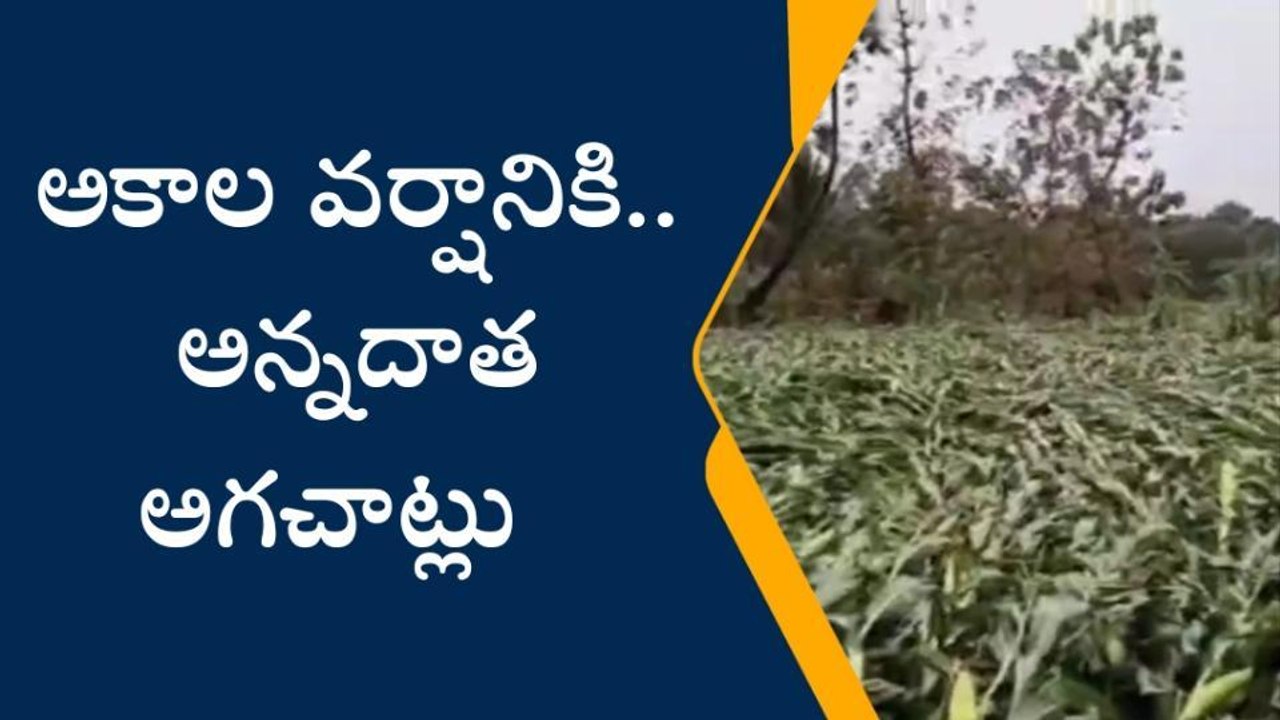 పార్వతీపురం: అకాల వర్షం.. అన్నదాత కుదేల్