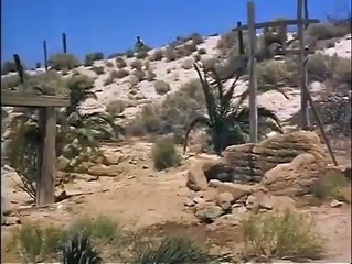 Ratos do deserto (3)