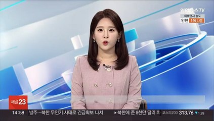 남경필 전 경기지사 장남 필로폰 투약 혐의 체포