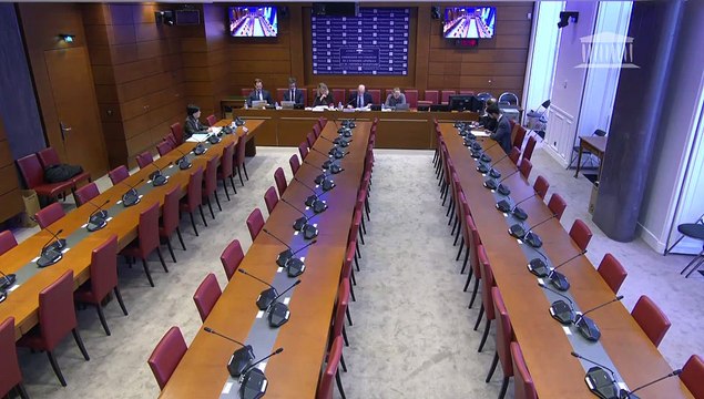 Révélations des Uber Files : Auditions diverses - Jeudi 23 mars 2023