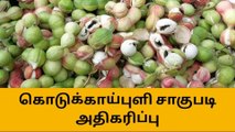 மவுஸ் அதிகரிக்கும் மருத்துவ குணம் வாய்ந்த கொடுக்காப்புளி !