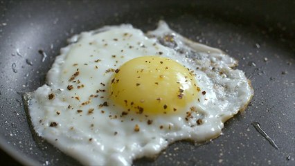watch this before consuming eggs in summer