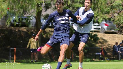 ¿Cuál es el verdadero problema en Pumas?