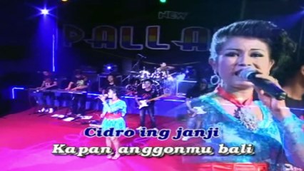 New Pallapa & Janur Kuning - Ilang Tanpo Aran