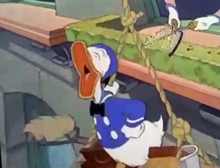 Donald Duck Donald Duck E052 Window Cleaners