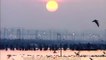 Triveni Sangam - the intersection of Yamuna and Ganges rivers