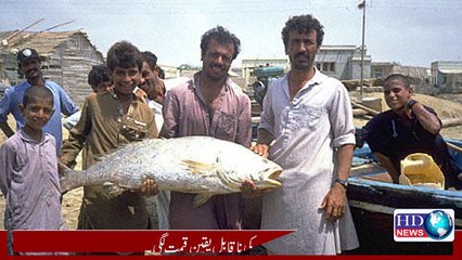 A fish turned its poor hunter into a millionaire