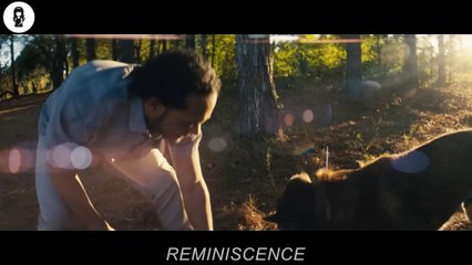 In 2029, The World Sinks, The Rich Build 1000m Wall, Leaving the Poor to Drown