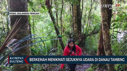 Berkemah Menikmati Sejuknya Udara di Danau Tambing