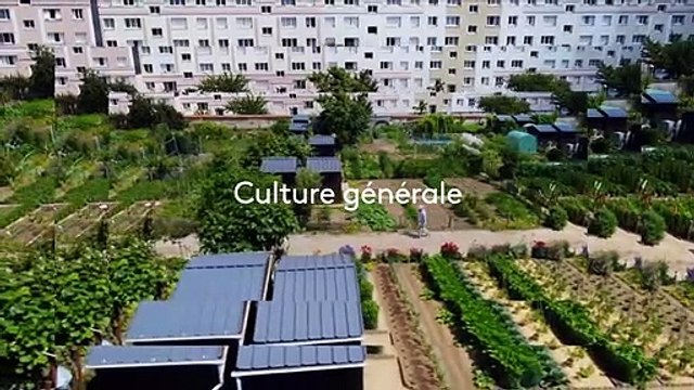 Potagers : si on semait - 27 mars