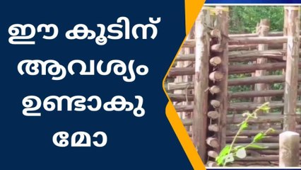 വരുമോ 'അരികൊമ്പൻ';കോടനാട്ടുകാർ കാത്തിരിക്കുന്നു