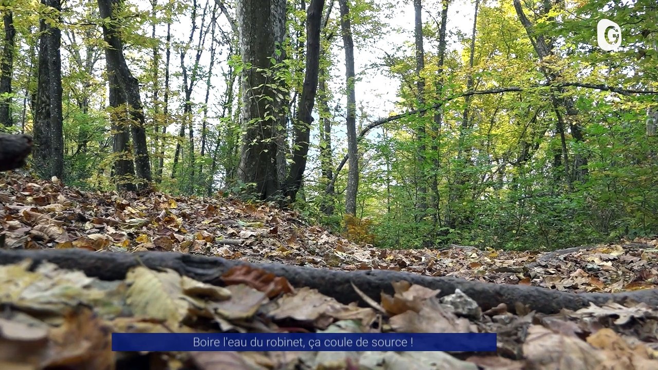 Reportage - Boire l'eau du robinet, ça coule de source !