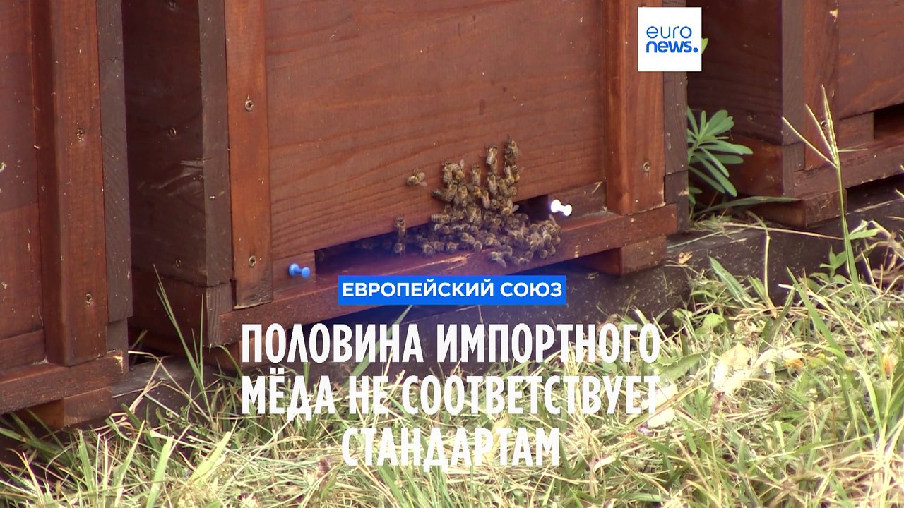 ЕС: половина импортного мёда не соответствует с...