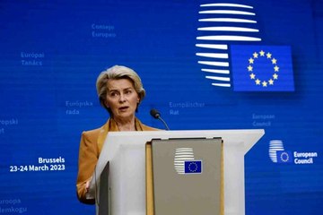 AB'den, Rusya'ya kaçırılan Ukraynalı çocuklar için konferans