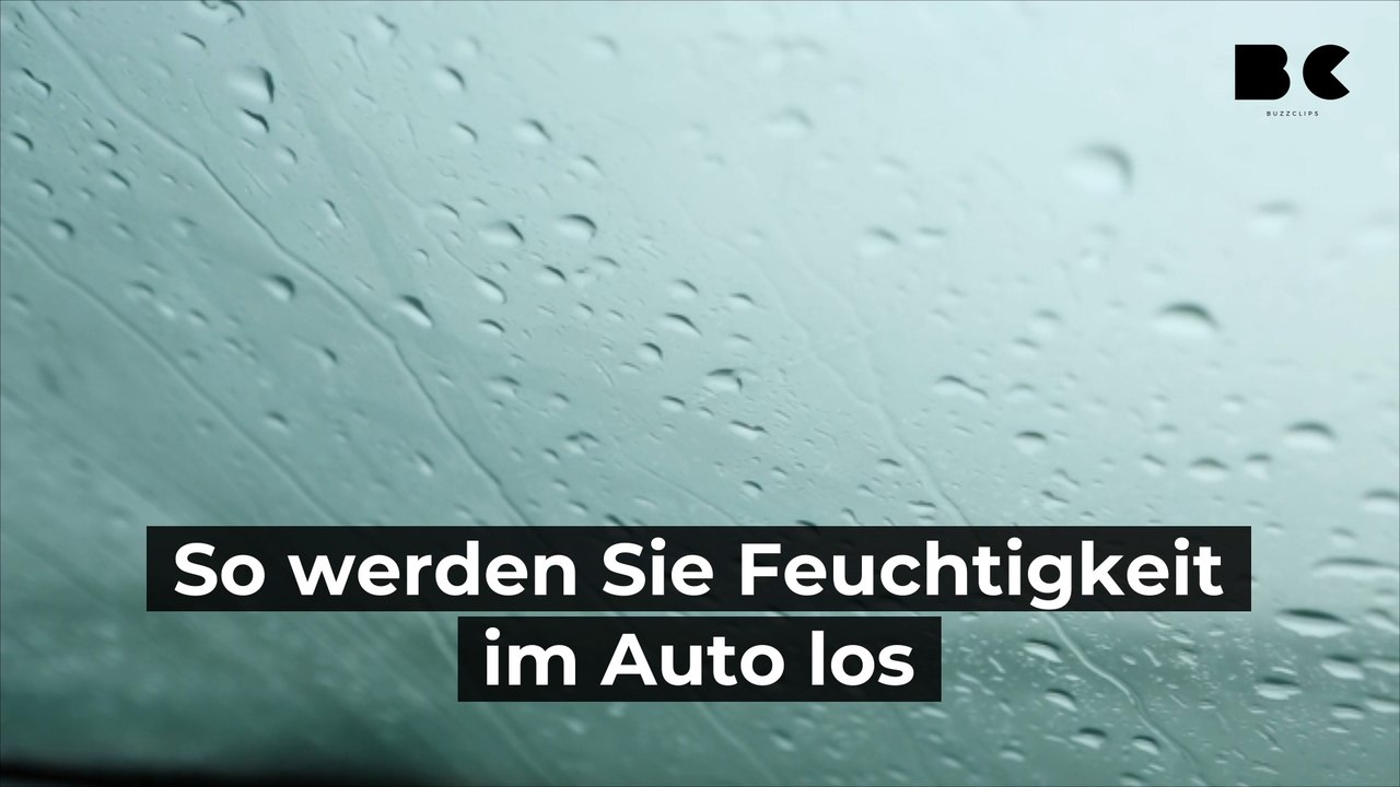 So werden Sie Feuchtigkeit im Auto los