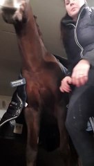 Girl Plays Defense to Moody Mare Trying to Bite
