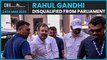 Rahul Gandhi disqualified from Lok Sabha, loses MP seat from Wayanad