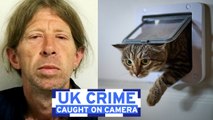 UK Crime Caught on Camera: Cat flap burglar nabbed; £200k weed factory; farm crooks ram police cars