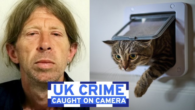 UK Crime Caught on Camera: Cat flap burglar nabbed; £200k weed factory; farm crooks ram police cars