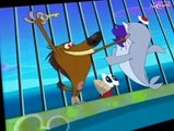 Zig & Sharko Zig & Sharko E013 – Waterski Hit