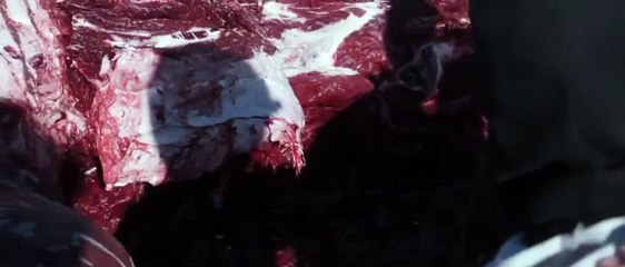 Lillian (2020) Watch HD - Part 02