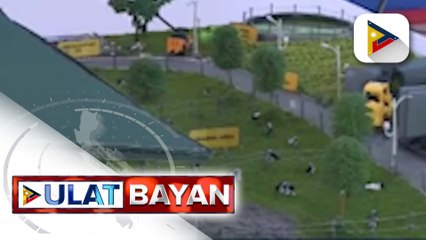 Milk production sa bansa, planong pataasin ng pamahalaan sa pamamagitan ng importasyon ng dairy animals