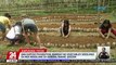 GMA Kapuso Foundation, namigay ng vegetables seedlings sa mga magulang sa General Nakar, Quezon | 24 Oras