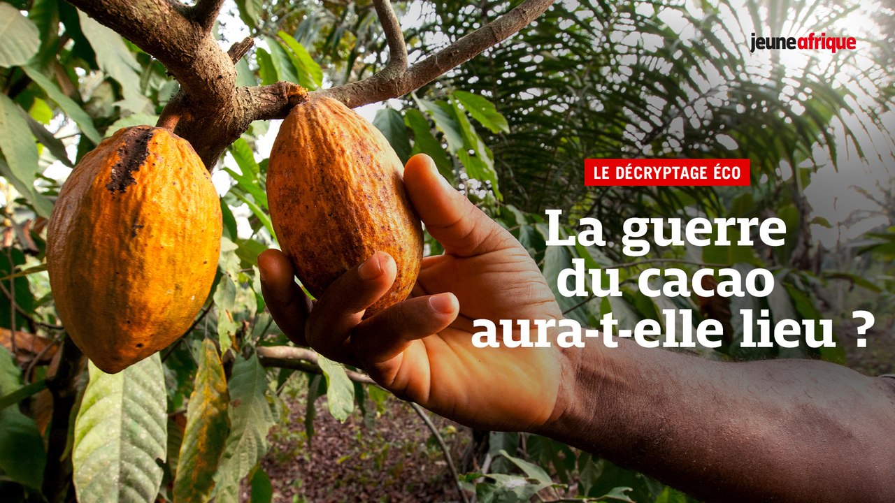 Guerre du cacao : la Côte d'Ivoire et le Ghana face aux multinationales du chocolat