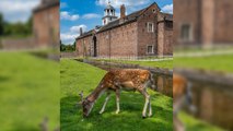 Manchester Headlines 24 March: Dunham Massey named as Manchester’s most visited tourist attraction