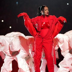 Rihanna intruder with intent to propose to the singer stopped by cops