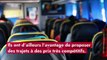 Grèves à la SNCF : pour quelles alternatives opter ?