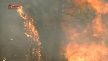 El incendio que afecta a Castellón y Teruel ya ha arrasado tres mil hectáreas