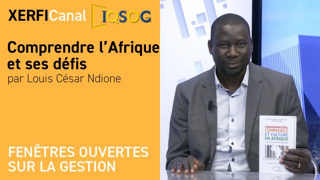 Comprendre l’Afrique et ses défis [Louis César Ndione]
