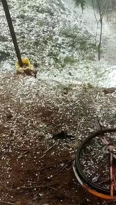 तेज अंधड़ के साथ बरसे आफत के ओले