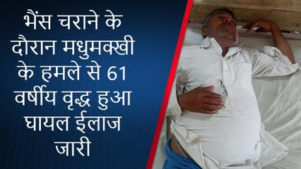 मुंगेर: भैंस चराने के दौरान मधुमक्खी के हमले से 61 वर्षीय वृद्ध हुआ घायल, ईलाज जारी
