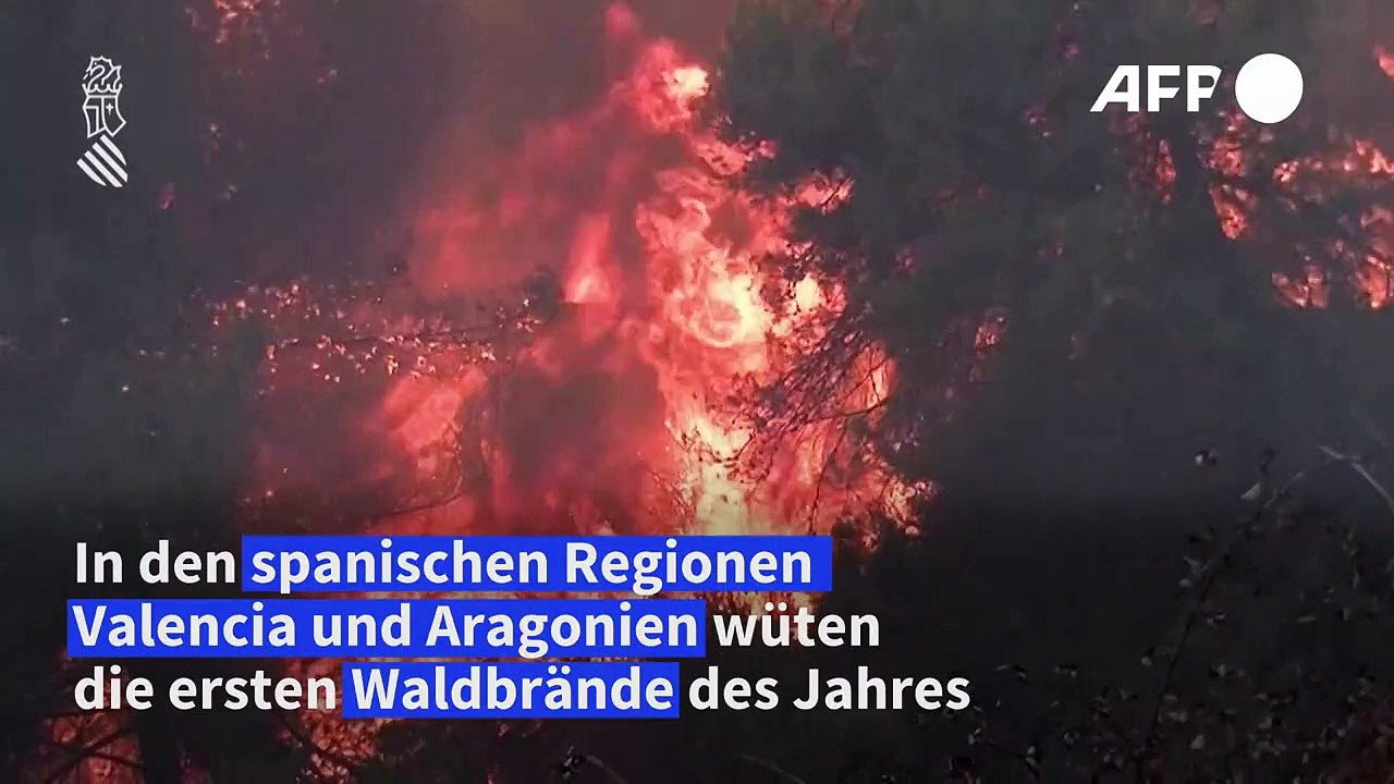 Ersten Waldbrände des Jahres wüten in Spanien