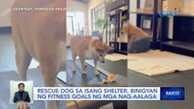 Rescue dog sa isang shelter, binigyan ng fitness goals ng mga nag-aalaga | Saksi