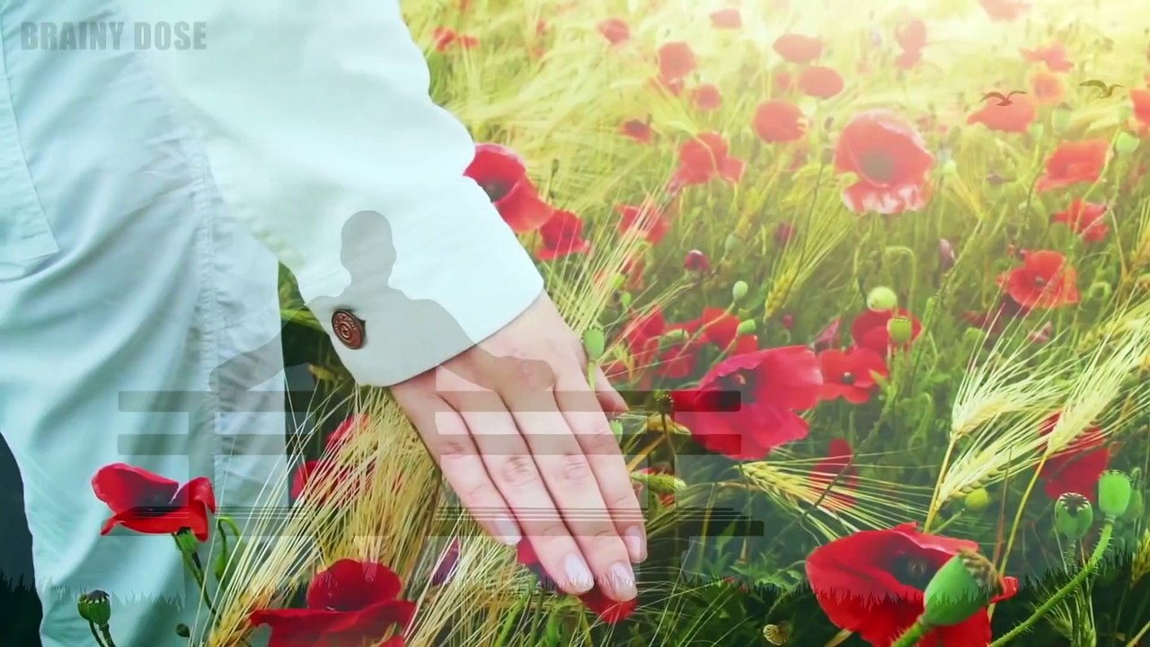 15 Signs You're An INFJ - The World's Rarest Personality Type