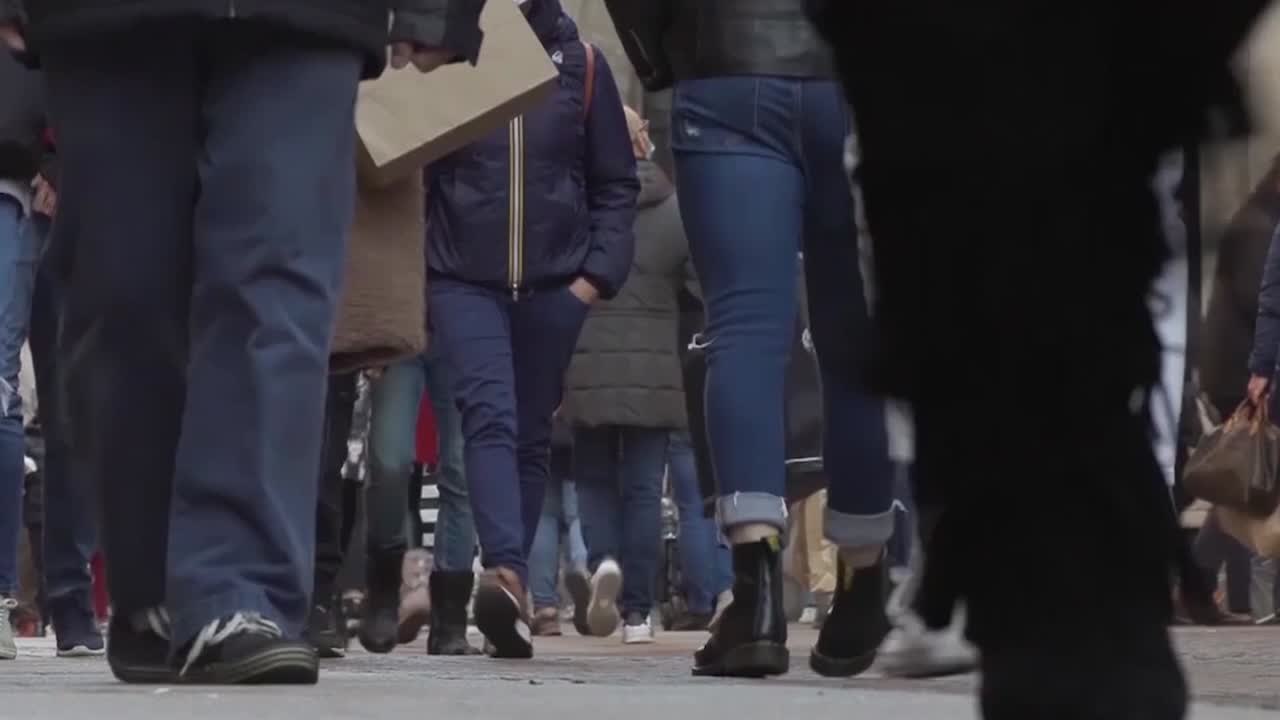 Reddito di cittadinanza, solo l'8% lavora o fa formazione