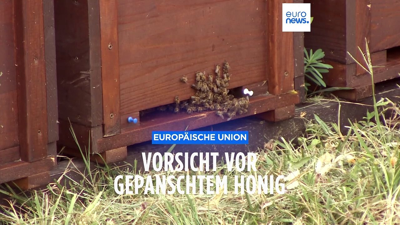 Schamlos gepanscht: Der Honig, den wir essen, ist wahrscheinlich keiner