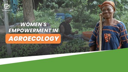 Burkina Faso: Women's empowerment in agroecology