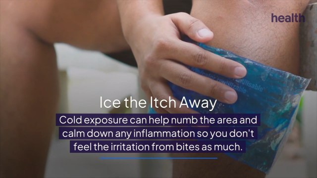 How To Stop the Itching From Mosquito Bites