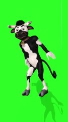 Cow Dance Patli kamriya meri Hi Hi, #viralcow #shorts #reels