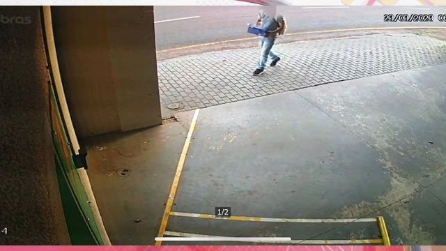 Cachorros são abandonados em hospital veterinário de Apucarana; veja