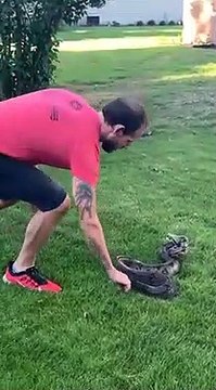 Il fait le malin avec un serpent trouvé dans son jardin et va le regretter