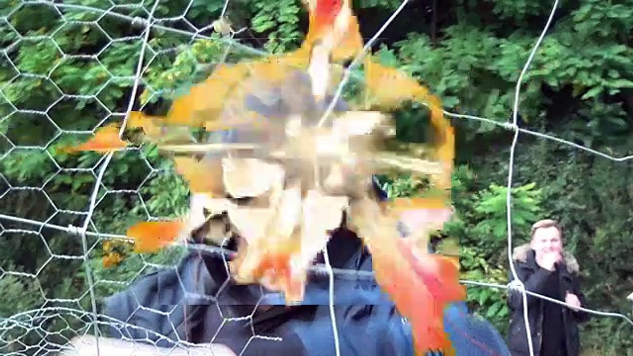 Kleine Technische Bube beim Reinerle #drachenlord