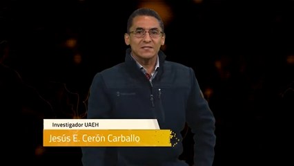 Sinapsis T1 Ep151 | Edificaciones esenciales