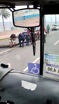 Coqueiro despenca em Ondina e motorista de ônibus desce do coletivo e ajuda na retirada