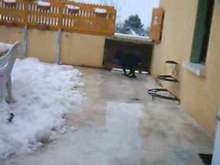 Récupération de ballon